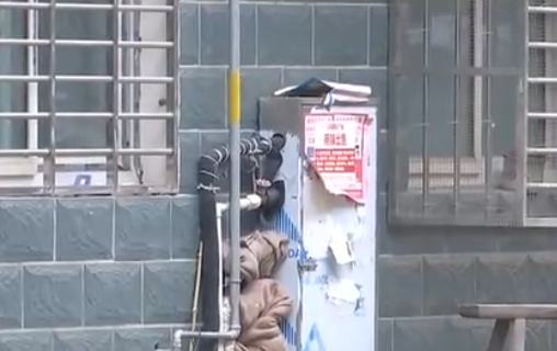 自來水管道保溫電伴熱帶，冬季管道防凍新寵(圖2)
